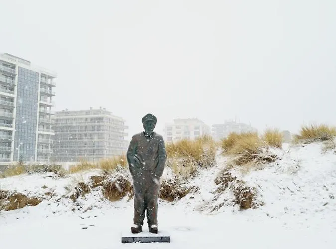 Klif Studio 612 * De Panne